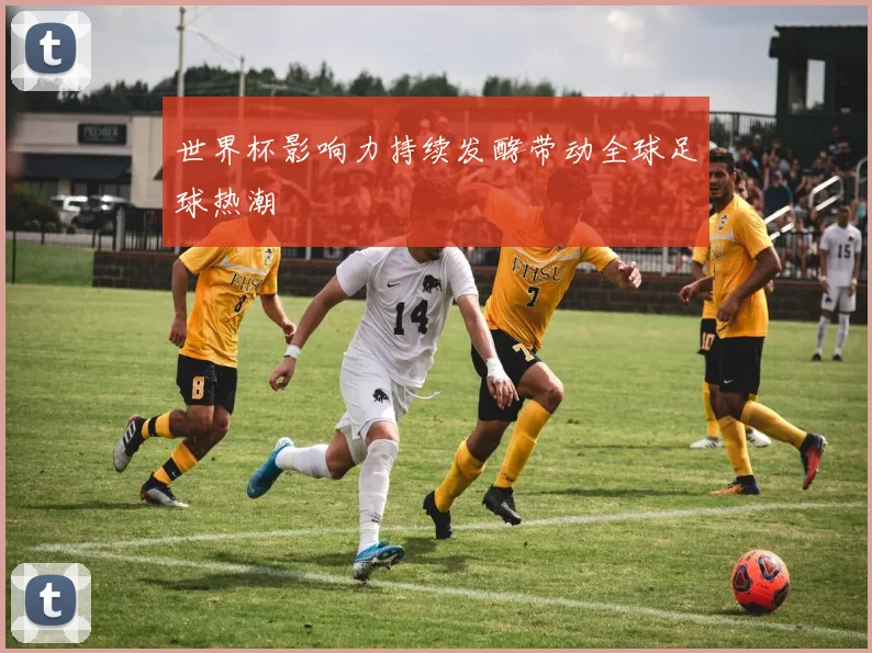 世界杯影响力持续发酵带动全球足球热潮