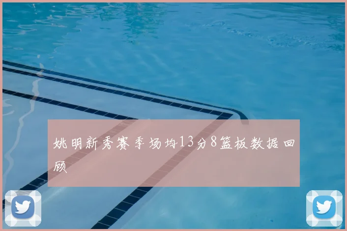 姚明新秀赛季场均13分8篮板数据回顾